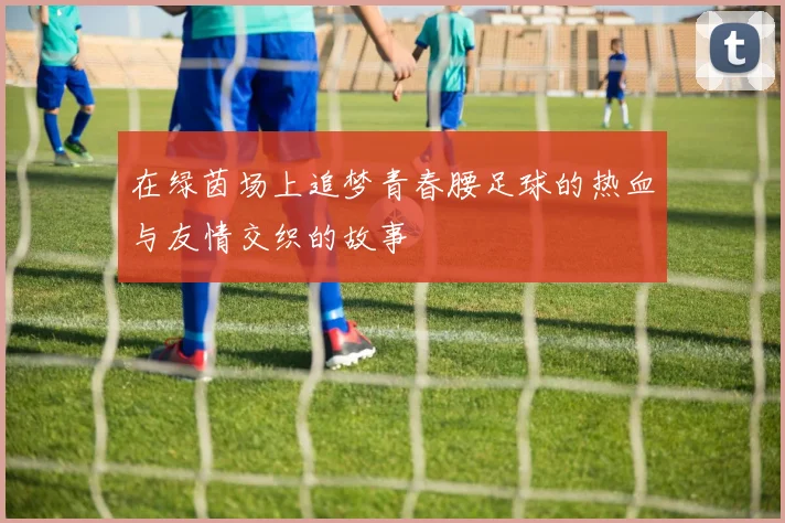 在绿茵场上追梦青春腰足球的热血与友情交织的故事